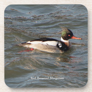 Porta copos de Merganser Vermelho