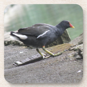 Porta copos de Moorhen Cork