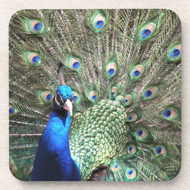 Porta copos de Peacock (Frente)