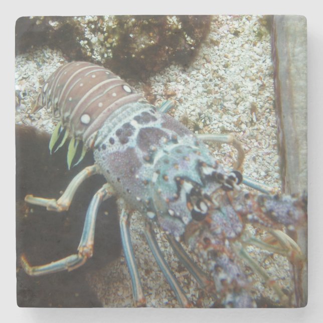 Porta copos de pedra com duro (Frente)