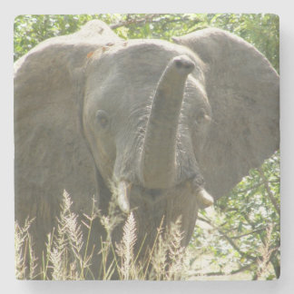 Porta copos de pedra de elefante (cor do cheio)