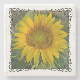 Porta copos de Pedra de Girassol