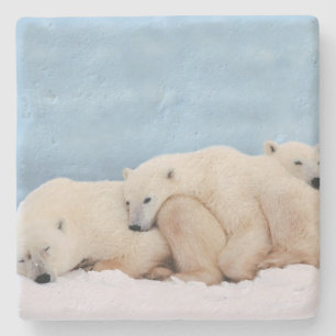 Porta copos de Pedra de Ursos Polares