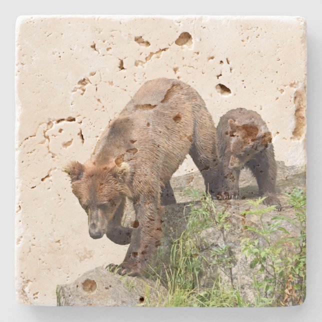Porta copos de pedra do travertino com urso & (Frente)