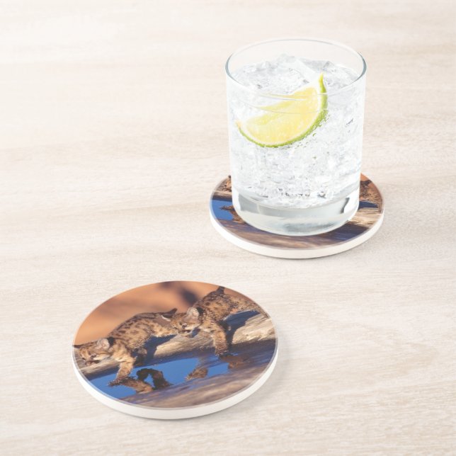 Porta copos de Pedra dos Leões de Montanha (Lateral)