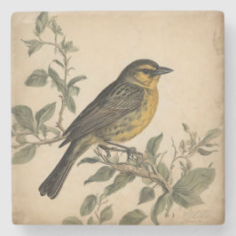 Porta copos de pedra Impressão do pássaro Vintage