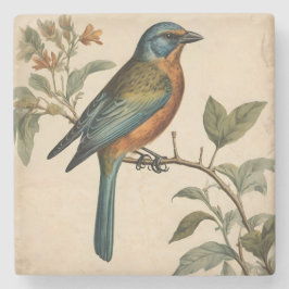 Porta copos de pedra Impressão do pássaro Vintage