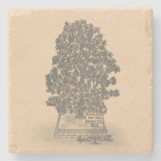 PORTA COPOS DE PEDRA MARÁVEL DA ÁRVORE BAY