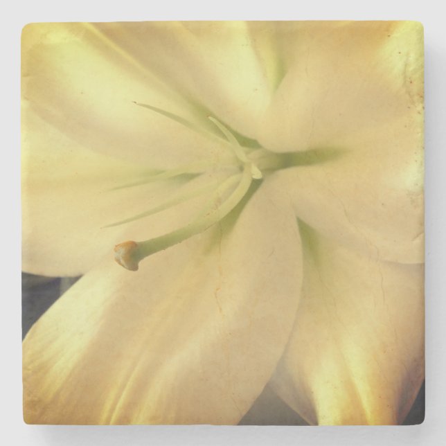 Porta copos de Pedra Marble da Foto Flor White Lil (Frente)