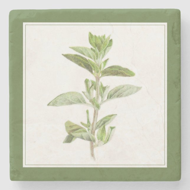Porta copos de pedra (-text) FRESH OREGANO Marble (Frente)