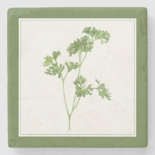 Porta copos de pedra (-text) FRESH PARSLEY Marble