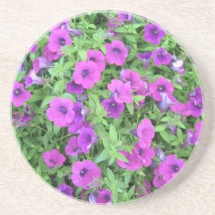 Porta copos de Petunias Roxo