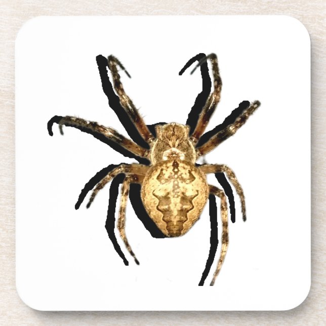 porta copos de plástico do duro (Frente)