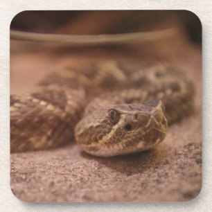 Porta copos de plástico do duro