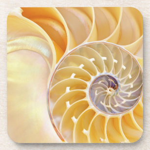 Porta copos de plástico do Duro Nautilus