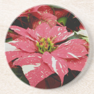 Porta copos de Poinsettia Vermelha e Branca