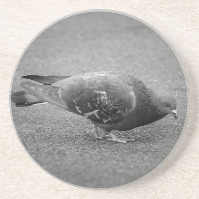 Porta copos de pombo (Frente)