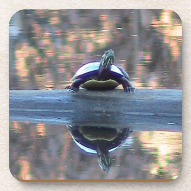Porta copos de Reflexão de Tartaruga-de-Aroma (Frente)