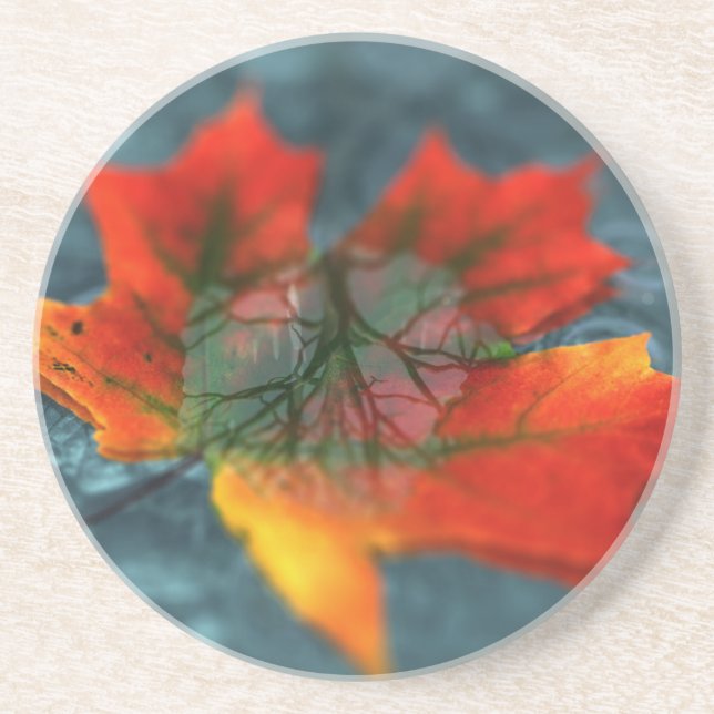 Porta copos de Retroreflecção (Frente)