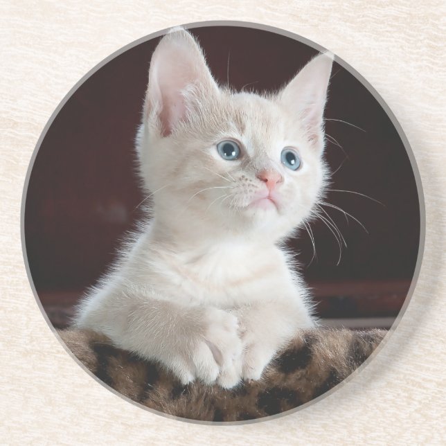 Porta copos de Sandstone amantes de gatos, para ra (Frente)