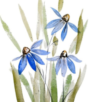 Porta copos de Sandstone Blue Daisies