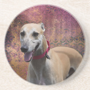 Porta copos de Sandstone com Greyhound