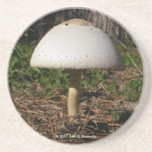 Porta copos de Shroom 0659