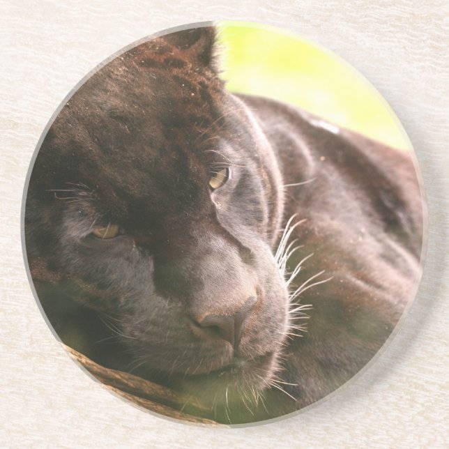 Porta copos de sono da pantera preta (Frente)