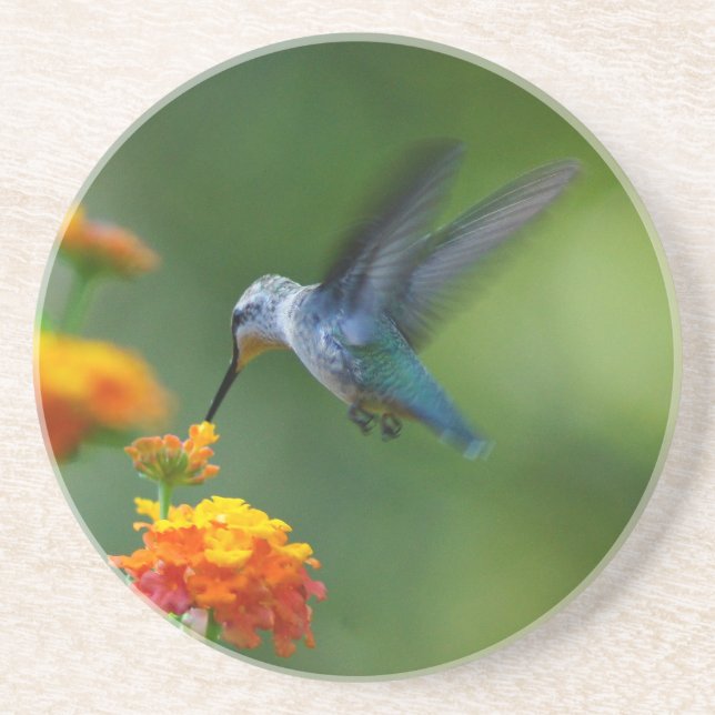 Porta copos de Verão (Frente)