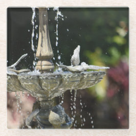 Porta copos de vidro do fonte de água