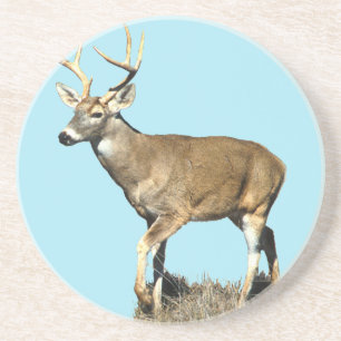 Porta-copos Deer Buck Branco