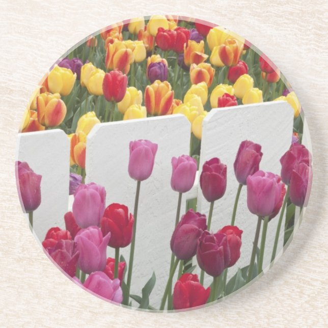 Porta-copos Desfile Solstício Fremont (Frente)