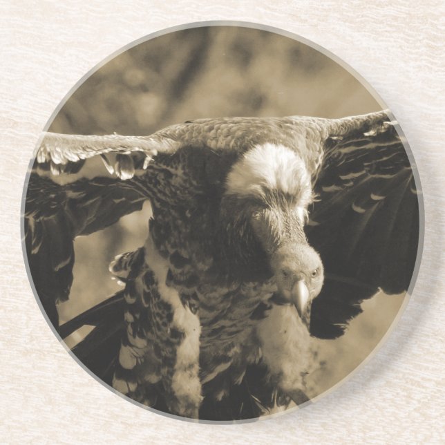 Porta copos do abutre (Frente)