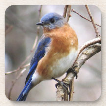 Porta copos do Bluebird