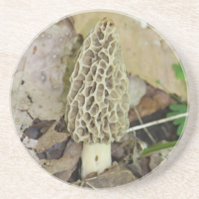 Porta copos do cogumelo do Morel (Frente)