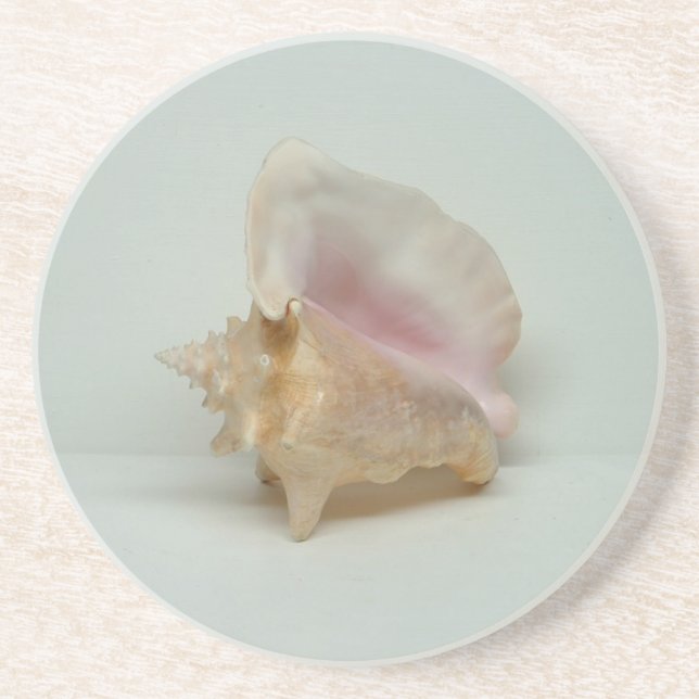 PORTA COPOS DO CONCH SHELL (Frente)