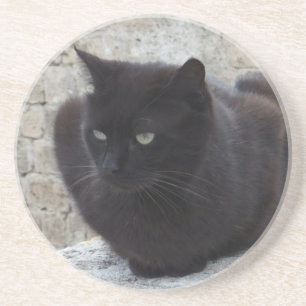 Porta copos do costume do gato preto