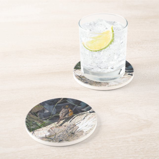 Porta copos do pisco de peito vermelho (Lateral)