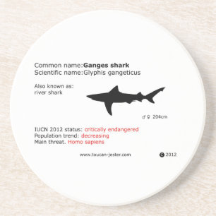 Porta copos do tubarão de Ganges