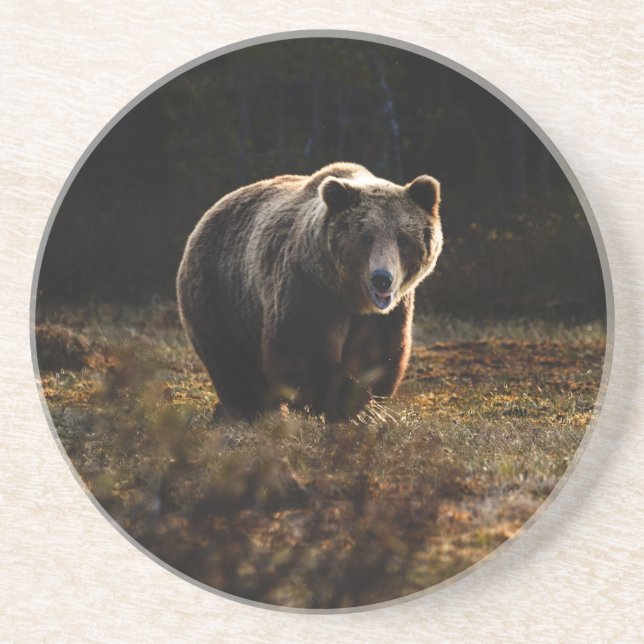 Porta copos do urso (Frente)