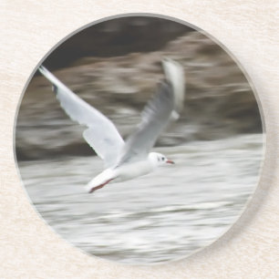 Porta copos do vento mestre