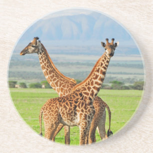 Porta-copos Dois girafas