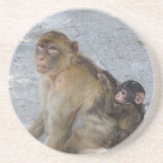 Porta copos dos Macacos de Gibraltar (Frente)