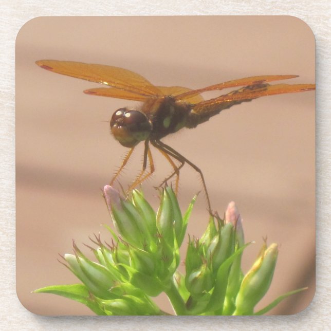 Porta copos Dragonfly (Frente)