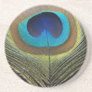 Porta-copos Dramatic Peacock Feather