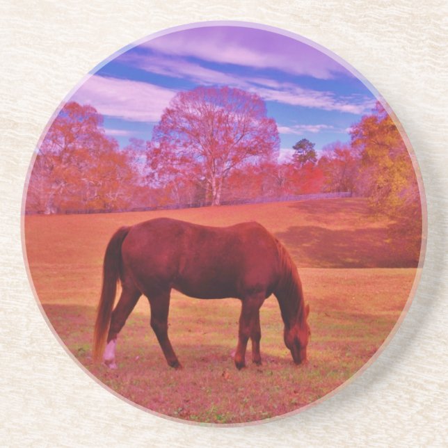 PORTA-COPOS DSCF0536.JPG (Frente)