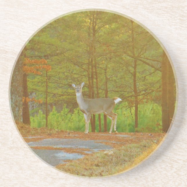 PORTA-COPOS DSCF4041.JPG (Frente)