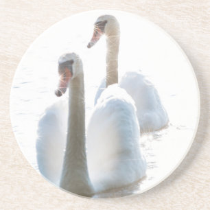 Porta-copos Duas Cisnes Brancos Fotografia da Natureza