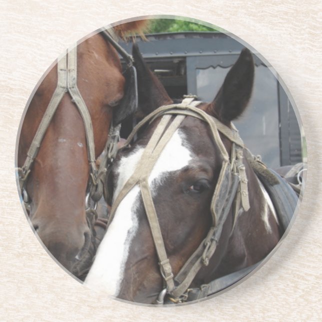 Porta-copos Duas Equipes De Cavalo Com Um Pinto (Frente)