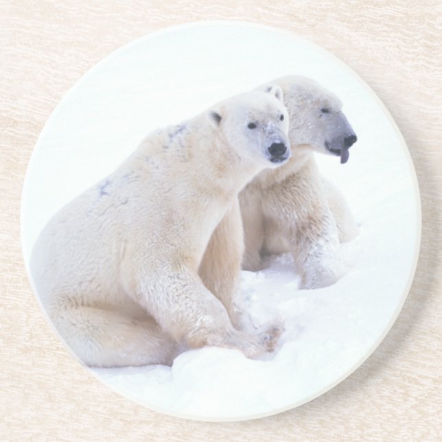 Porta-copos Duo do urso polar (Frente)
